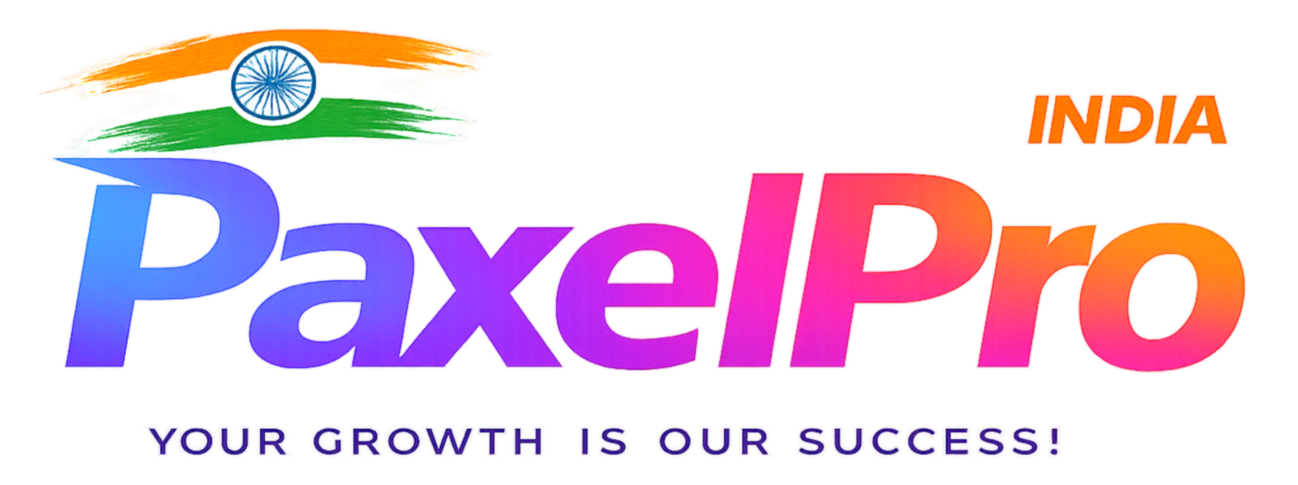 PaxelPro